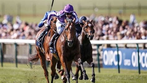 best 2000 guineas stakes betting site,Mais